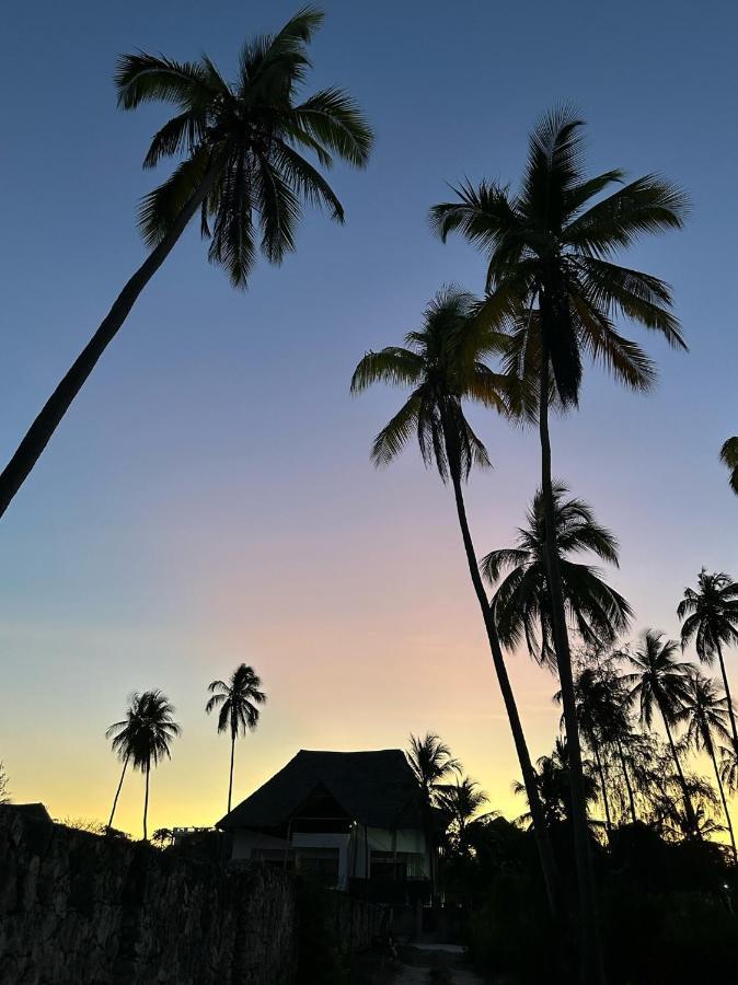 Blue Villa Zanzibar 普瓦尼梅查恩加尼 外观 照片