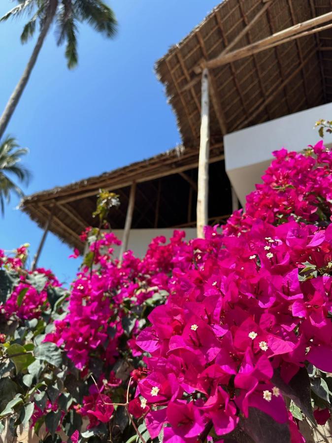 Blue Villa Zanzibar 普瓦尼梅查恩加尼 外观 照片