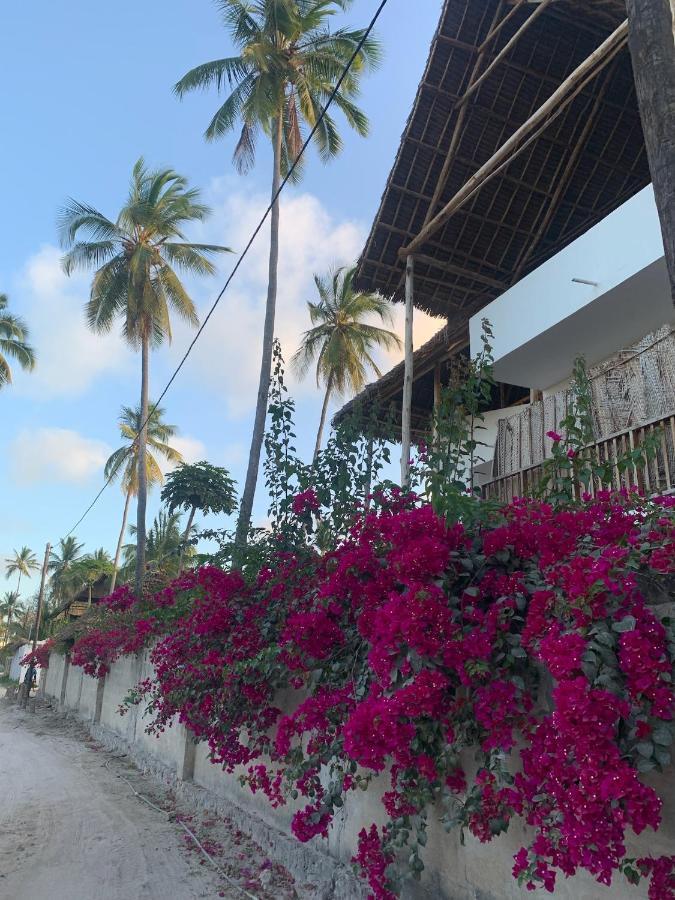 Blue Villa Zanzibar 普瓦尼梅查恩加尼 外观 照片