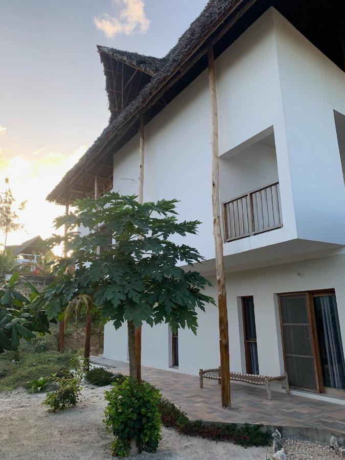 Blue Villa Zanzibar 普瓦尼梅查恩加尼 外观 照片