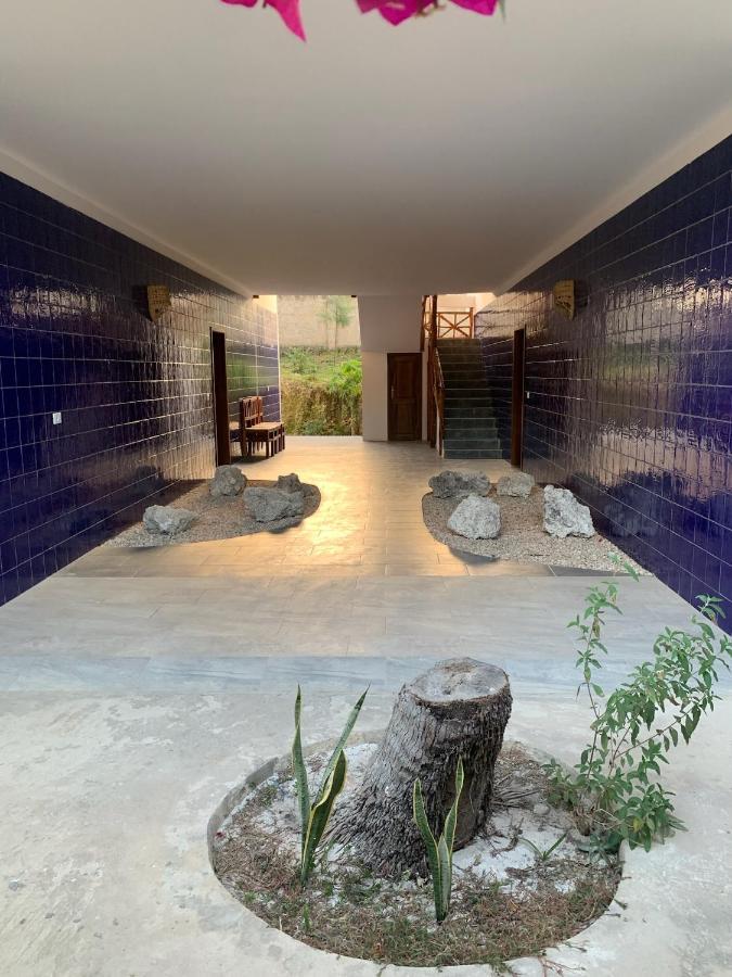 Blue Villa Zanzibar 普瓦尼梅查恩加尼 外观 照片