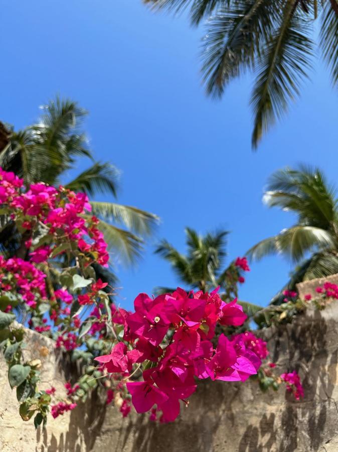 Blue Villa Zanzibar 普瓦尼梅查恩加尼 外观 照片