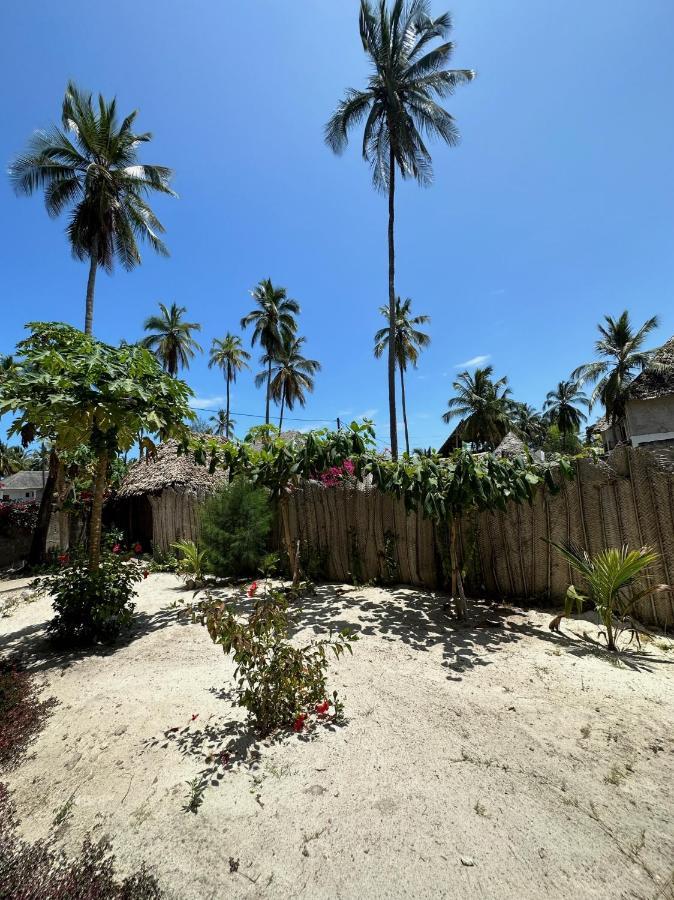 Blue Villa Zanzibar 普瓦尼梅查恩加尼 外观 照片