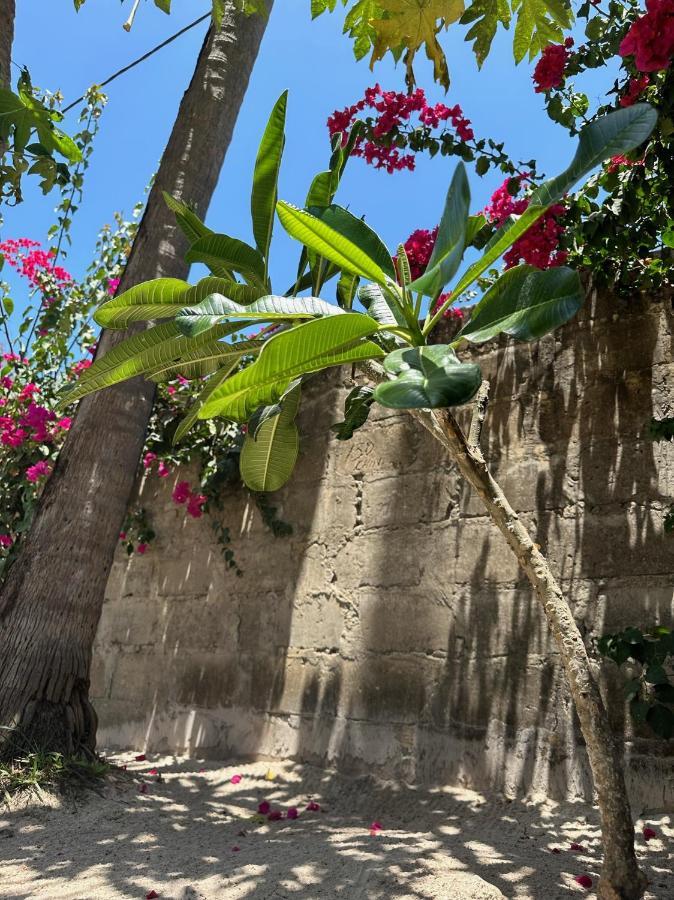 Blue Villa Zanzibar 普瓦尼梅查恩加尼 外观 照片