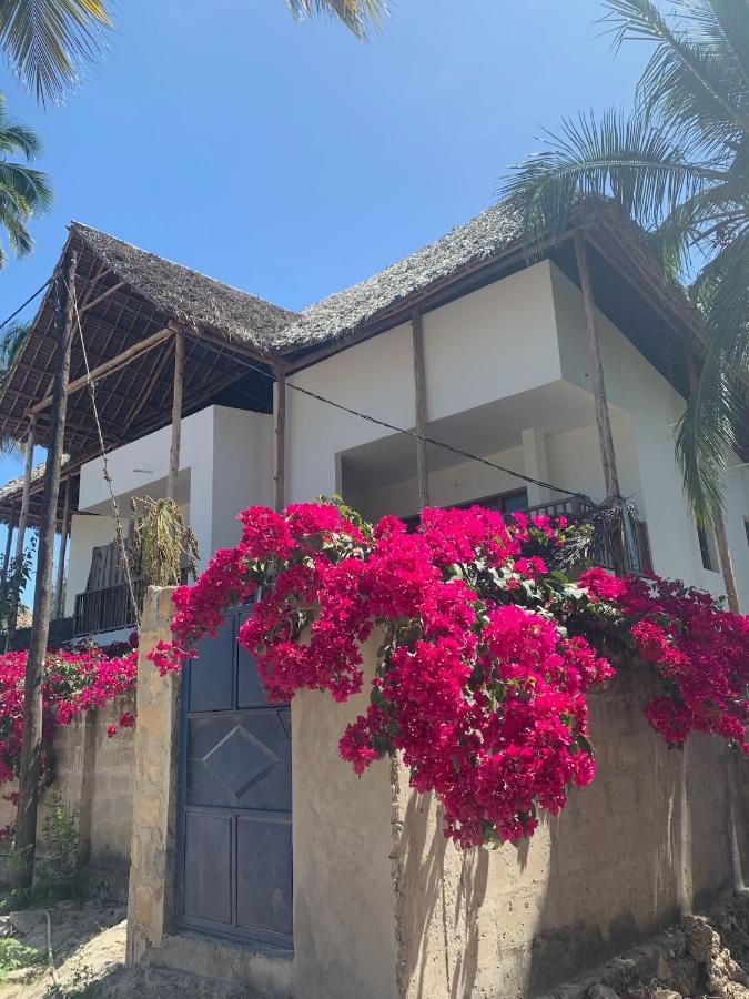 Blue Villa Zanzibar 普瓦尼梅查恩加尼 外观 照片